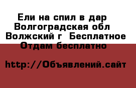 Ели на спил в дар - Волгоградская обл., Волжский г. Бесплатное » Отдам бесплатно   